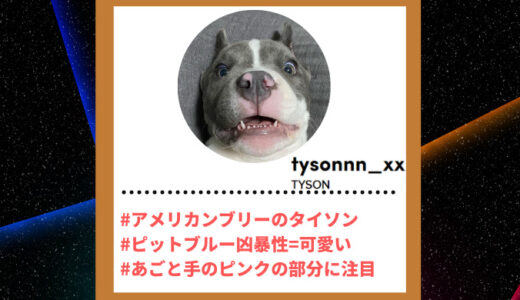 Tiktoker”ティックトッカー”まとめ【TYSON/アメリカンブリー】