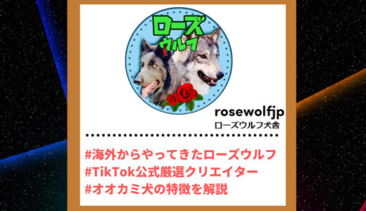 Tiktoker”ティックトッカー”まとめ【ローズウルフ犬舎/ローズウルフ】