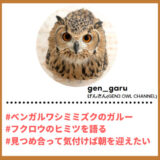 Tiktoker”ティックトッカー”まとめ【げんさん(GEN3 OWL CHANNEL)/ふくろう】