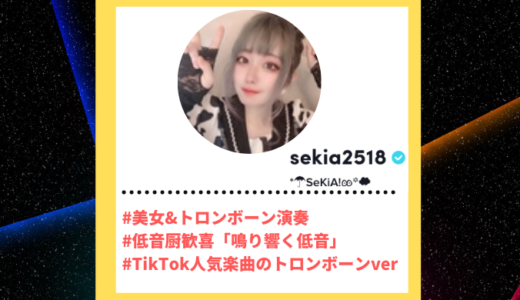 TikToker”ティックトッカー”まとめ【SeKiA!/トロンボーン】