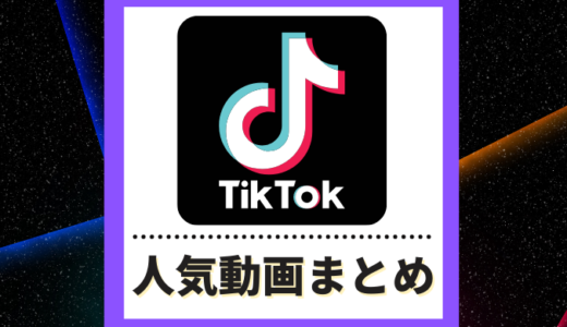 TikTokで人気のおもしろ映像まとめVol.14