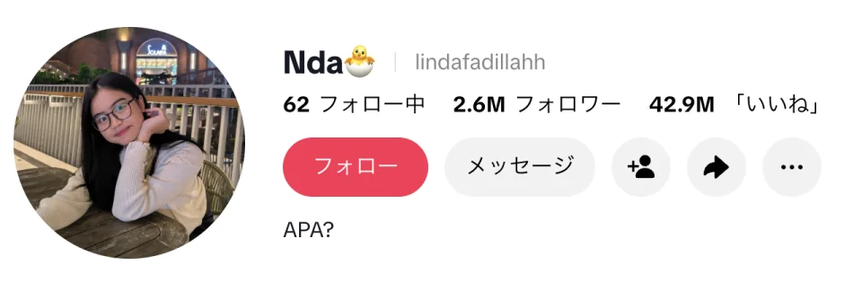 Lida FadillahのTikTokプロフィール画面（2026年9月取得）